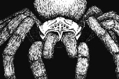 Giant Spider